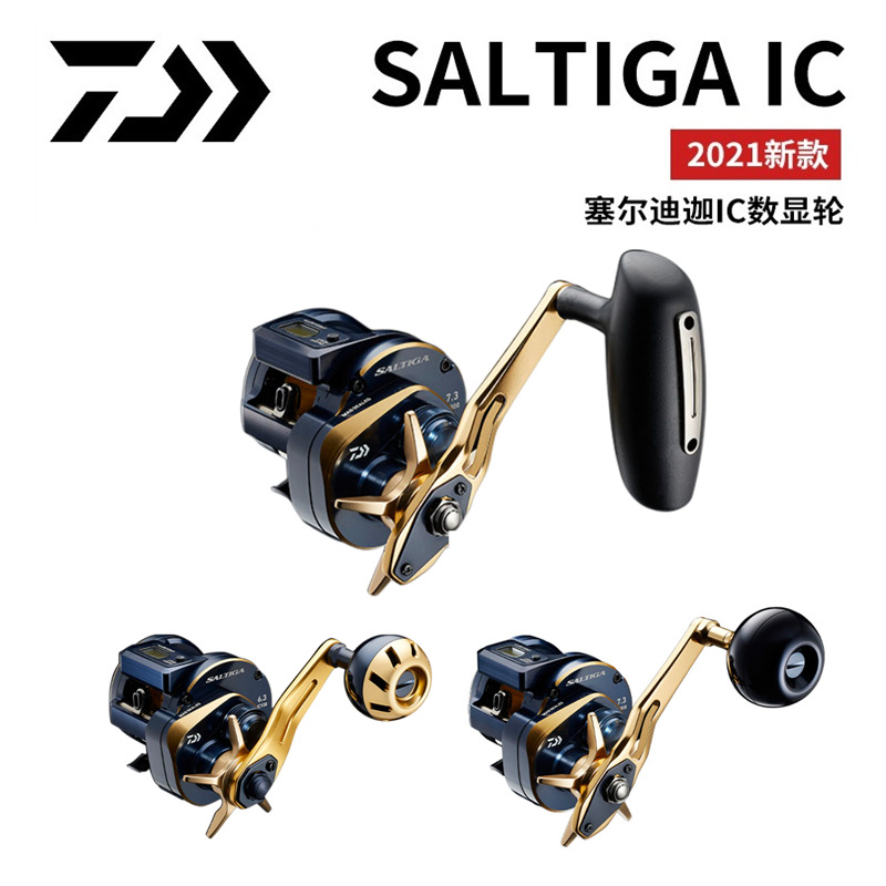 21 Japanese DAIWA Daiwa SALTIG - Electric Reel review and price